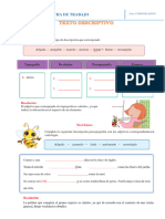 PRACTICAMOS Texto Descritivo