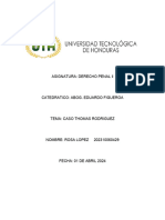 Caso Penal 2 Rosa Tercer Parcial