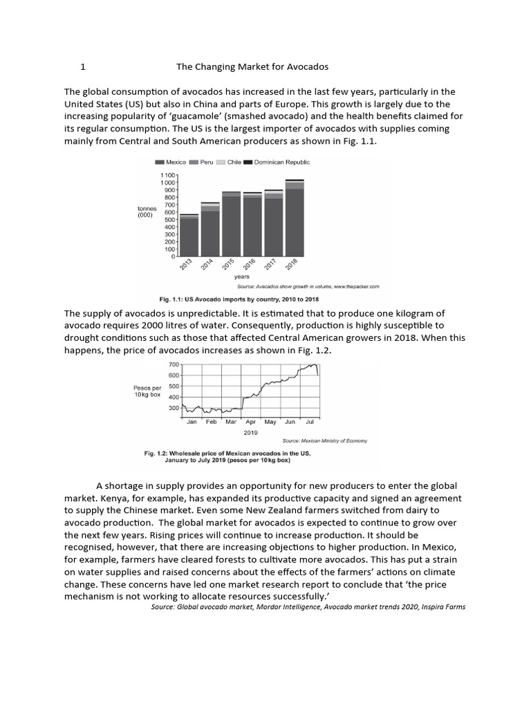 The Changing Market For Avocados Gr11 Practice Pdf Avocado