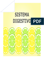 Clase 28 Sist Digestivo