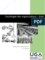 Sociologie des organisations - EAD - L2