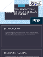 EL ESCENARIO NATURAL, EL ECOSISTEMA Y El FLUJO DE ENERGÍA 