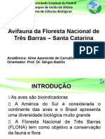 Apresentação TCC 2021 - Aline Aparecida de Carvalho