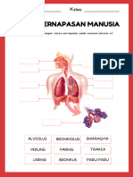 Lembar Kerja IPA Merah Ilustratif Sistem Pernafasan Manusia _20240105_010430_0000