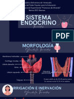 Tema 34