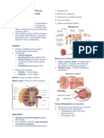 ANPH111 REVIEWER [URINARY & ENDOCRINE]