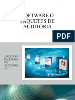 Software o Paquetes de Auditoria