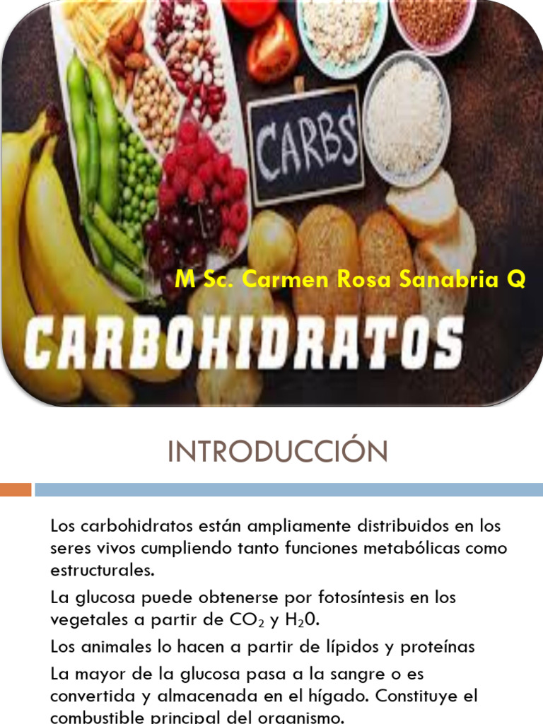 Estructura De Los Carbohidratos Pdf Carbohidratos Glucosa