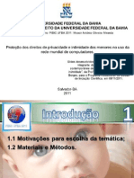 Apresentação Proteção Dos Direitos de Privacidade e Intimidade