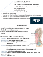 Anatomy of the Anterior Abdominal Wall | PDF | Abdomen | Vein