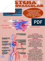 Sistema Cardiovascular