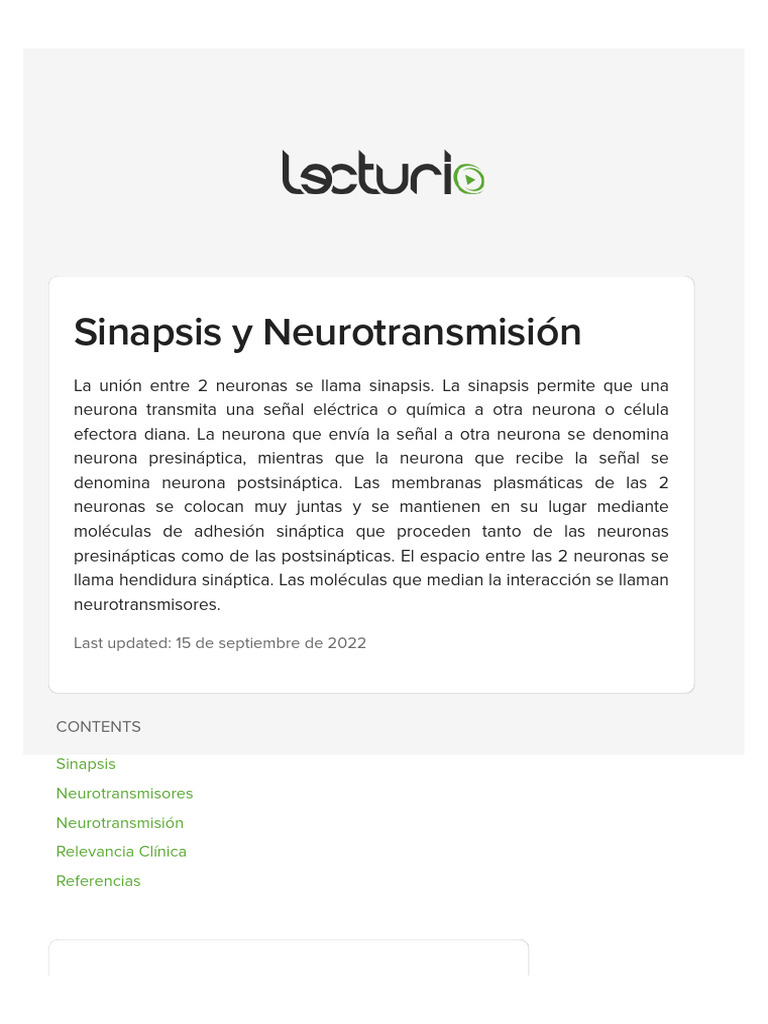 Sinapsis y Neurotransmisores | PDF | Sinapsis | Sinapsis química
