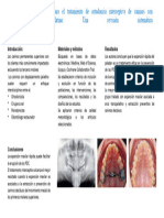 Expansión Maxilar Rápida para El Tratamiento de Ortodoncia