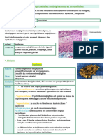 20-Les Tumeurs Épithéliales Malpighiennes Et Urothéliales