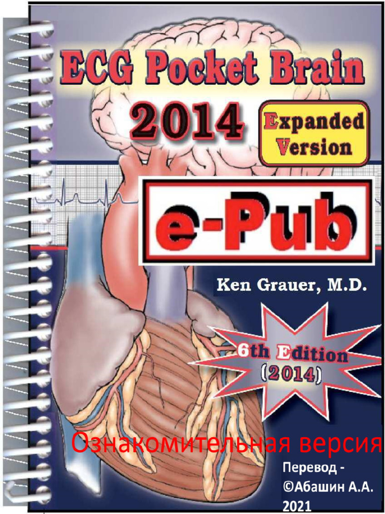 ECG-2014-Pocket Brain 2 Grauer Ken | PDF