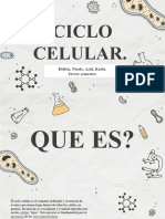 Presentación Ciclo Celular.