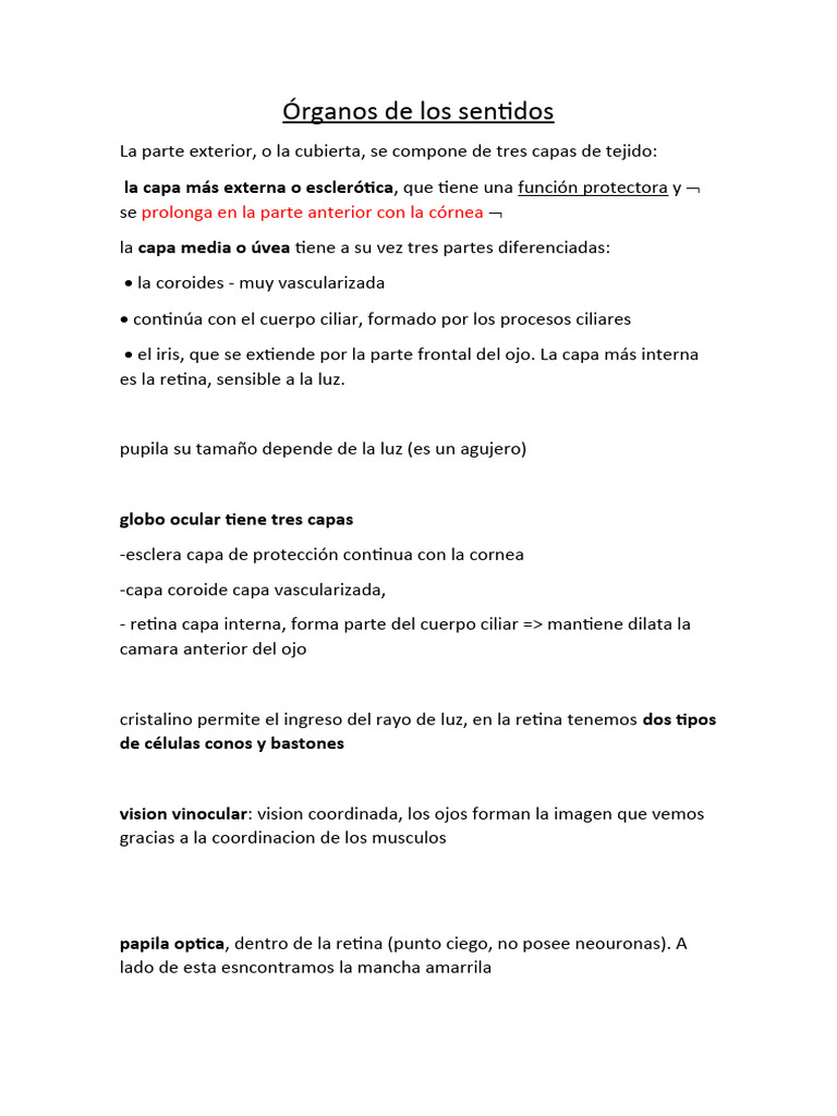 Estructura y Función de los Órganos Sensitivos | PDF | Ojo humano | Riñón