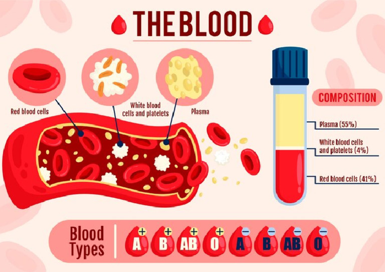 A2 Blood Cells | PDF