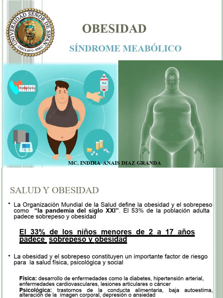 Causas y Riesgos de la Obesidad | PDF | Obesidad | Síndrome metabólico