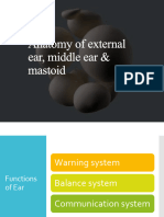Anatomy of External Ear, Middle Ear and Mastoid