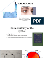 Anatomy-Physiology Eyeball 2023