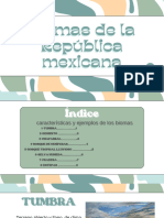 Presentación - de - Proyecto - Psicología - Infantil - Retro - Verde (1) .PDF Copia 2