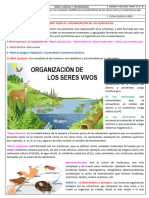 Tema 03 - 5 Prim - Tema 03 - Niveles de Los Seresvivos