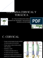 Columna Cervical y Toracica