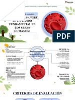 2do Sec - UNIDAD 0 - Actividad 2 - CyT Explica 2024