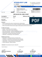 RBC-test-report-format-example-sample-template-Drlogy-lab-report