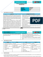 2 Programación Anual-Quinto CN-2020 UGEL-SUR COVID-19