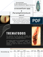 Dicrocoelium SPP: Parasitología Veterinaria