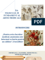 2 3.Anatomia Piedestal Și Fundament.apriLIEpptx
