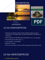 US Na-Hidronefrose 2015