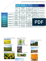 Geografia Caracteristicas Regioes Agrarias Portuguesas Denisealmeida