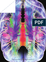 Neuroanatomia Del - Sistema - Nervio