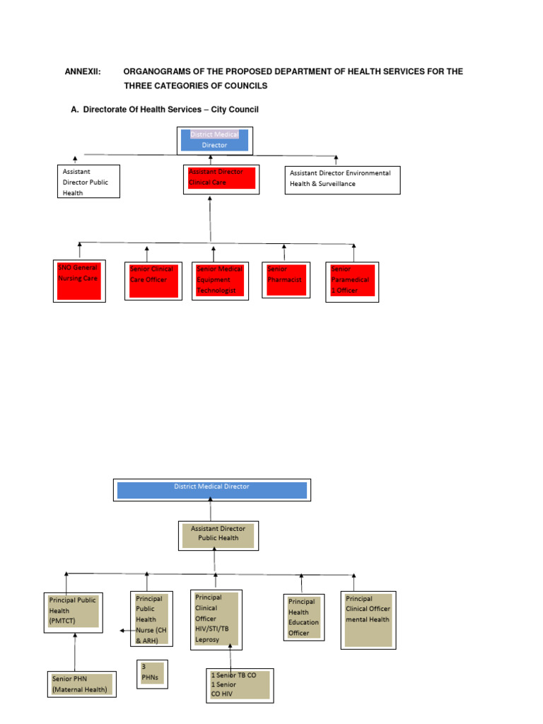 Organogram Devolution | PDF | Clinical Medicine | Health Care