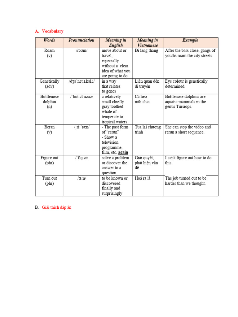 Nhóm 4 Reading statement 3 - Nguyễn Thị Mai | PDF | Dolphin | Toothed Whales