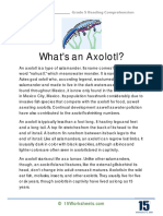What's An Axolotl?: Grade 5 Reading Comprehension