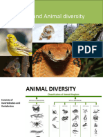 Animal Plant Diversity