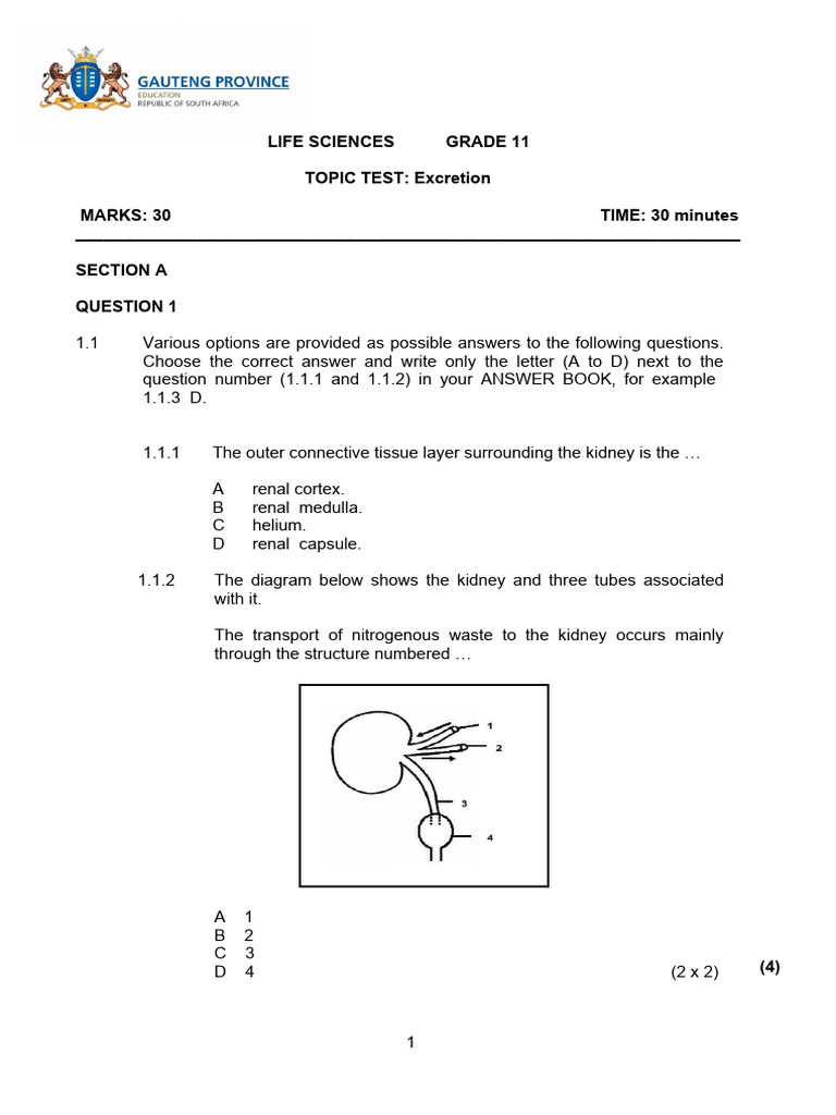 Grade 11 Excretion Topic Test | PDF | Kidney | Urinary System