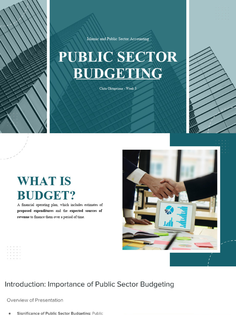 Public Sector Budgeting Guide | PDF