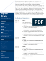 Dipesh Singh: Professional Experience