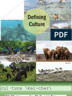 Defining Culture