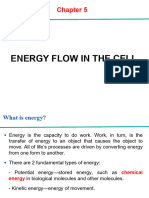 Chapter 5 Energy Flow in The Cell
