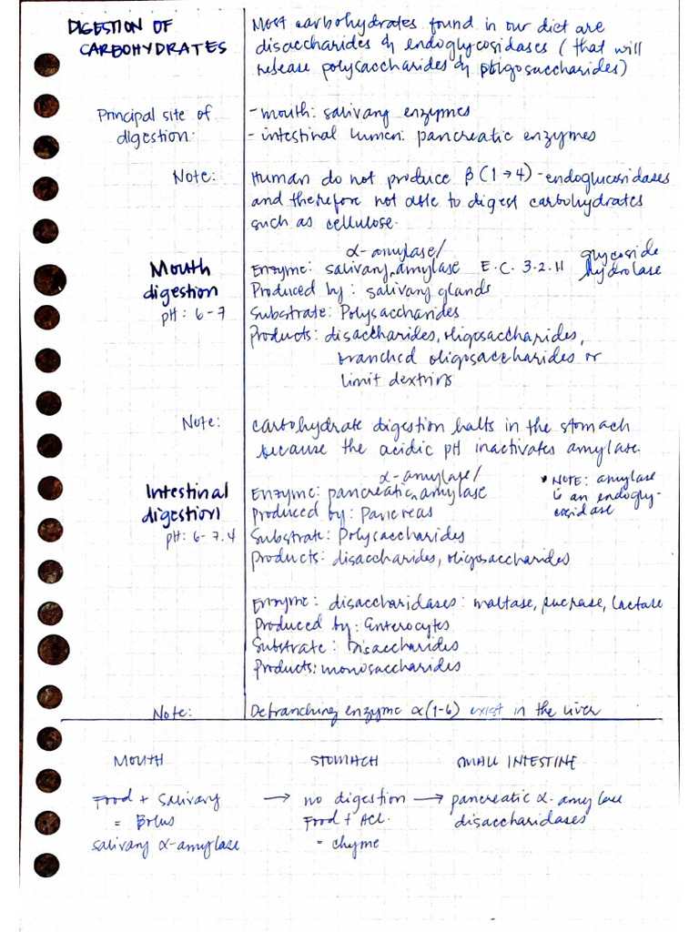 Biochem Lecture Notes | PDF