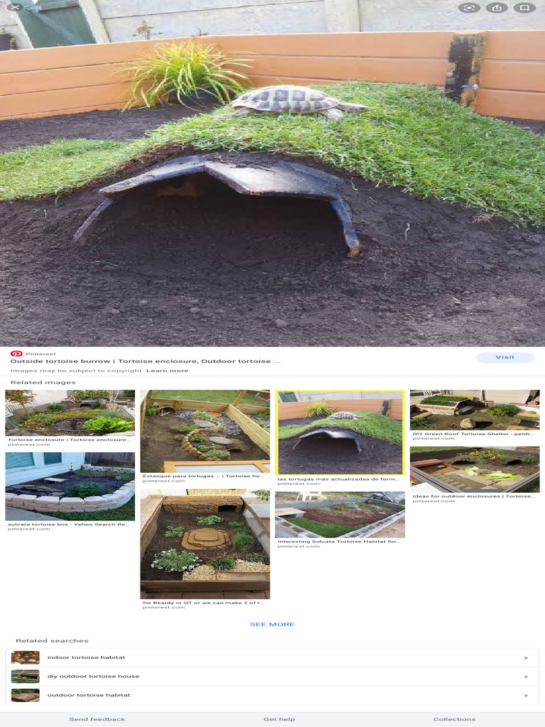 Diy Tortoise House - Google Search | PDF, image size:768x1024