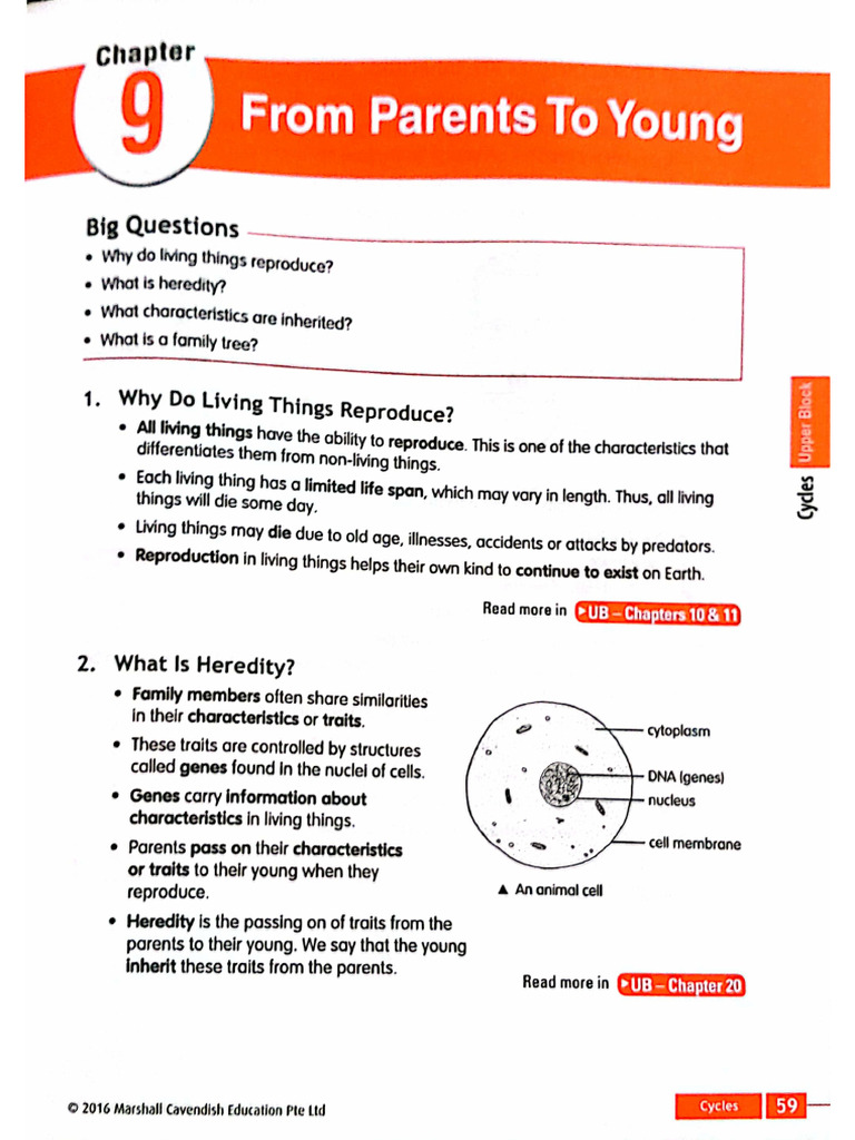 From Parents To Young - Notes | PDF