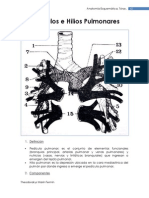 Pedículos e Hilios Pulmonares: Anatomía Esquemática. Tórax