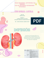 Lesion Renal Aguda